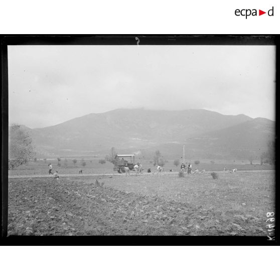 Empierrement par la troupe de la route de Vasilika-Galatista. [légende d'origine]