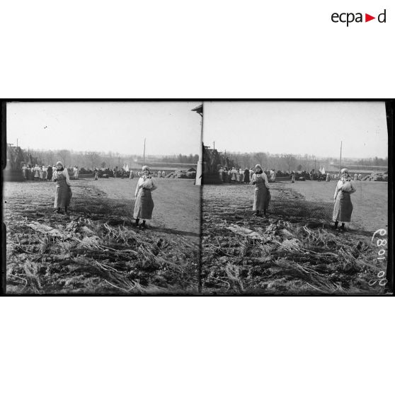 Nancy, portrait de deux femmes ouvrières à l'atelier de camouflage. [légende d'origine]