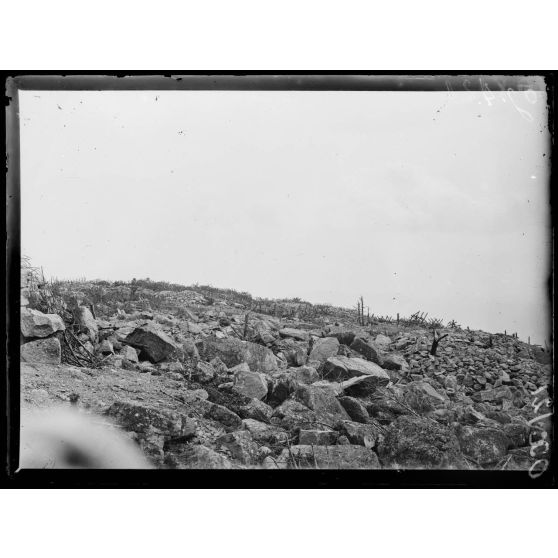 A l'Hartmannswillerkopf, le sommet. [légende d'origine]