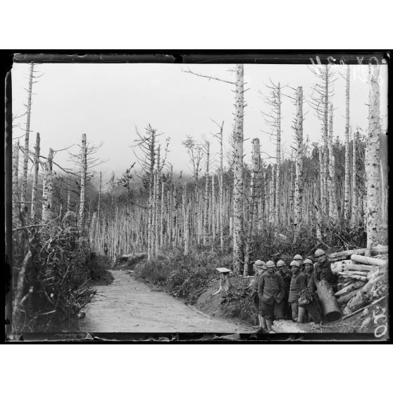 A l'Hartmannswillerkopf, en forêt. [légende d'origine]