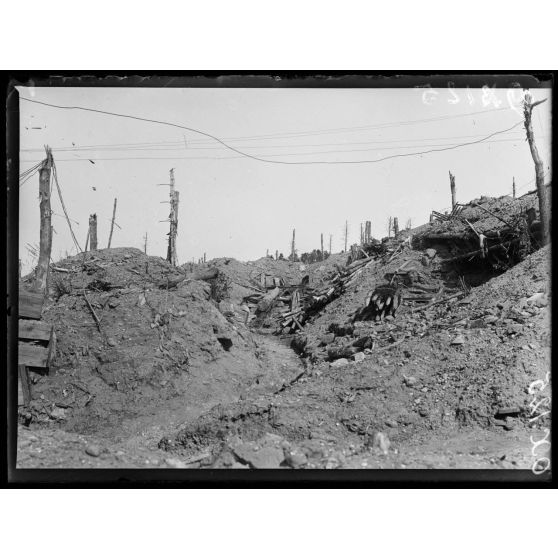 A l'Hartmannswillerkopf, le sommet. [légende d'origine]