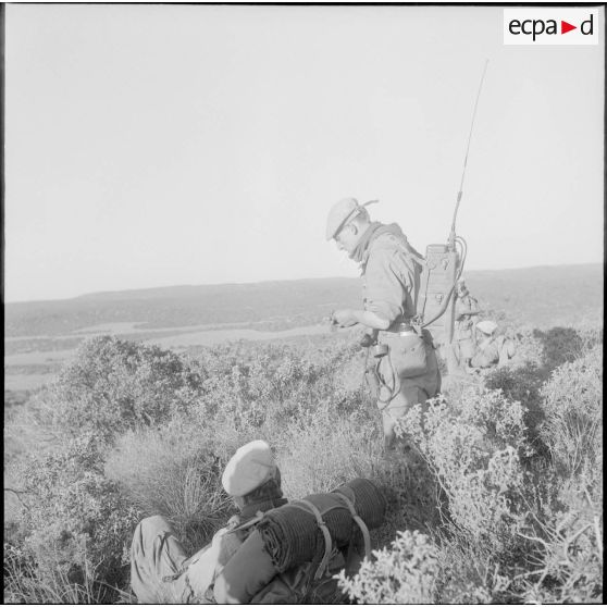 Opération dans le djebel. [Description en cours]