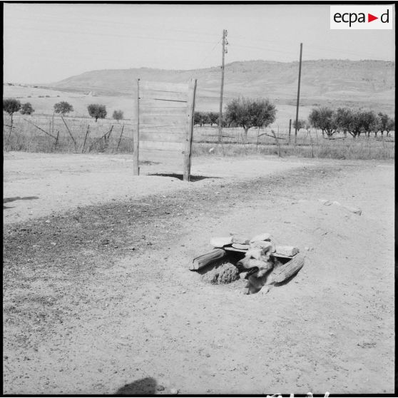 Visite au centre d’entrainement des chiens de guerre. [Description en cours]