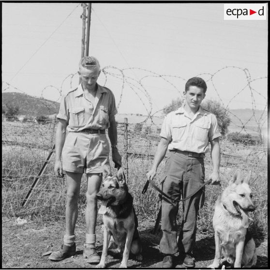 Visite au centre d’entrainement des chiens de guerre. [Description en cours]