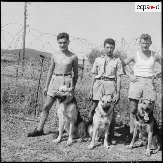 Visite au centre d’entrainement des chiens de guerre. [Description en cours]