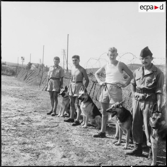 Visite au centre d’entrainement des chiens de guerre. [Description en cours]