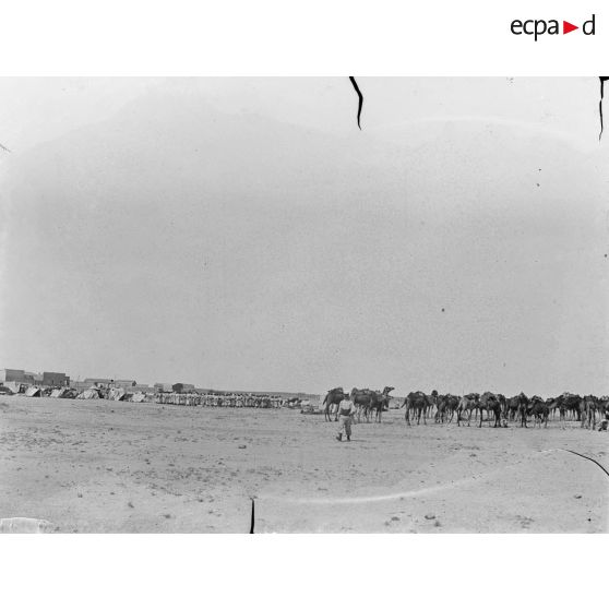 26. Campement des tirailleurs se rendant dans le tell. [légende d'origine]