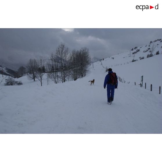 Un maître-chien du PGHM (peloton de gendarmerie de haute montagne) et son chien lors d'un exercice de recherche après avalanche à Pierrefitte-Nestalas (Hautes-Pyrénées).