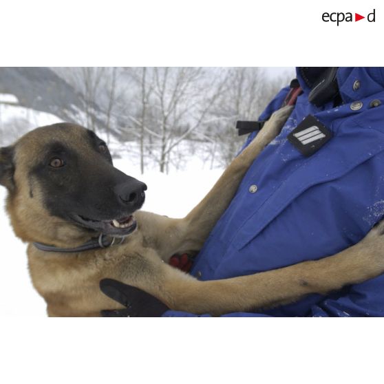 Un chien du PGHM (peloton de gendarmerie de haute montagne) et son maître lors d'un exercice de recherche après avalanche à Pierrefitte-Nestalas (Hautes-Pyrénées).