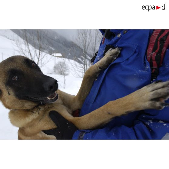 Un chien du PGHM (peloton de gendarmerie de haute montagne) et son maître lors d'un exercice de recherche après avalanche à Pierrefitte-Nestalas (Hautes-Pyrénées).