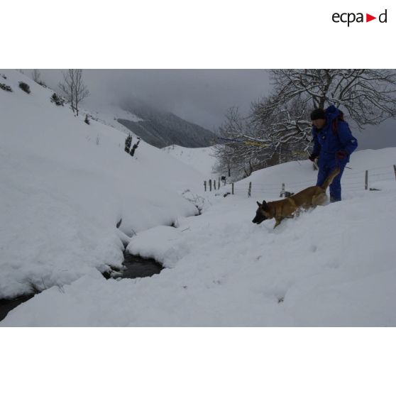 Un maître-chien du PGHM (peloton de gendarmerie de haute montagne) lors d'un exercice de recherche après avalanche à Pierrefitte-Nestalas : début des recherches.