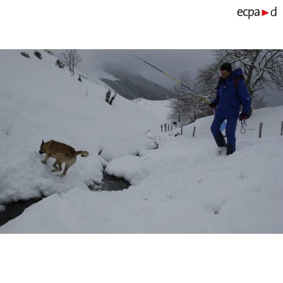 Un maître-chien du PGHM (peloton de gendarmerie de haute montagne) débutent les recherches lors d'un exercice de recherche après avalanche à Pierrefitte-Nestalas.