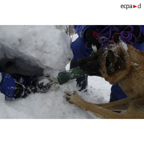 Un maître-chien du PGHM (peloton de gendarmerie de haute montagne) et son chien découvrent une victime ensevelie sous la neige, lors d'un exercice de recherche après avalanche à Pierrefitte-Nestalas (Hautes-Pyrénées).