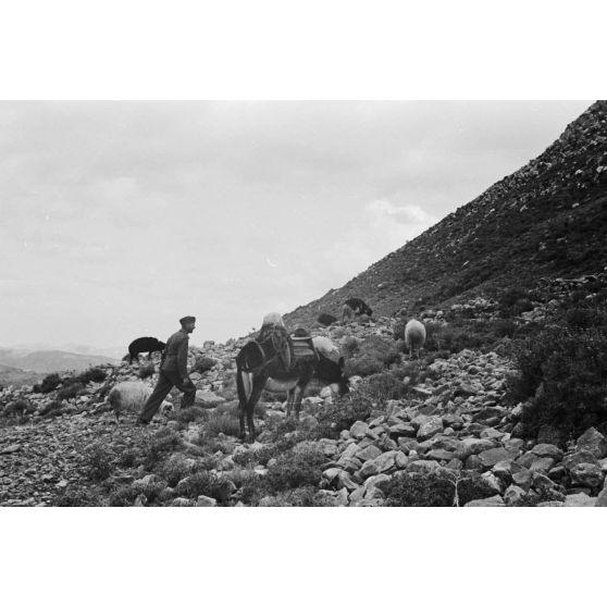 Sur le chemin montagneux de Crète dans le secteur de Kastamonitza, les nuages s'accumulent sur les sommets.