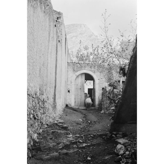 Dans un village crétois à proximité de la batterie de Flak 3/286.