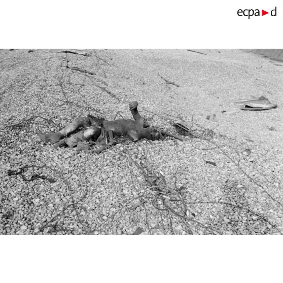 Sur la plage de Dieppe après le raid du 19 août 1942 de l'opération Jubilee, un cadavre de soldat canadien.