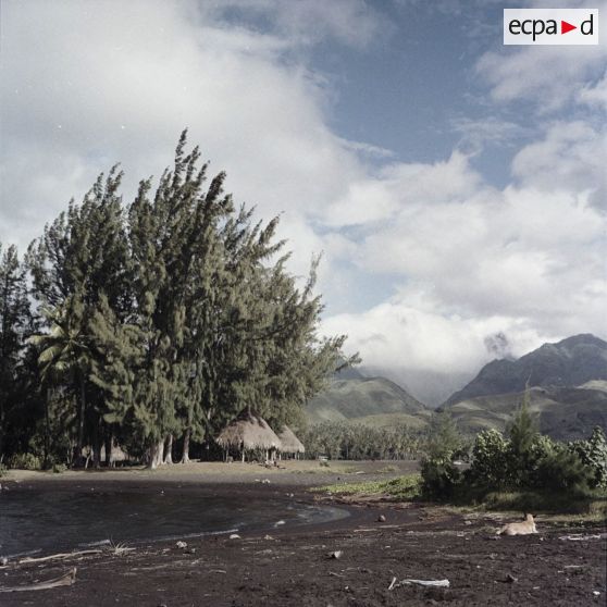 Rivage et paysage montagneux de Tahiti.