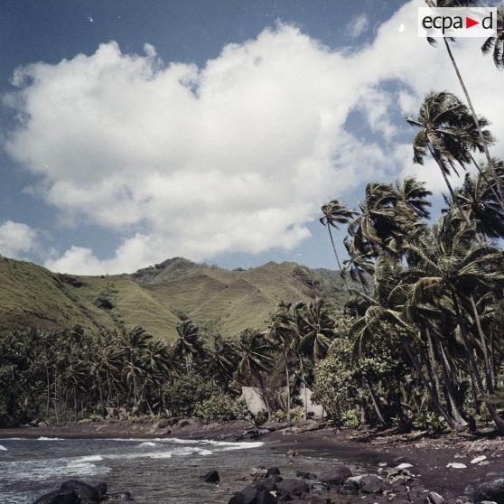 Paysage du littoral à Tahiti.