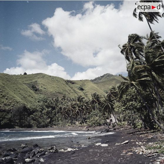 Paysage du littoral à Tahiti.