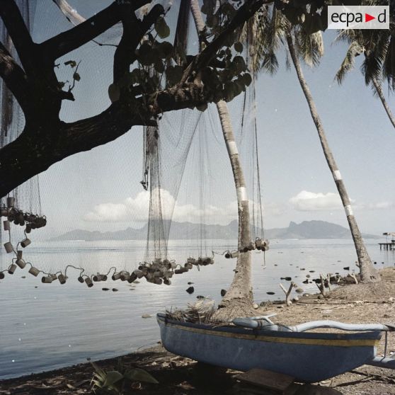 Pirogue à balancier calée et filet de pêche séchant sur une branche d'arbre sur le rivage à Tahiti. En arrière-plan, l'île de Moorea.