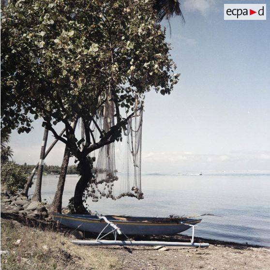 Pirogue à balancier calée et filet de pêche séchant sur une branche d'arbre sur le rivage à Tahiti.