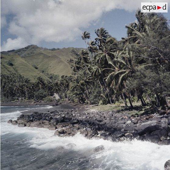 Paysage du littoral à Tahiti.