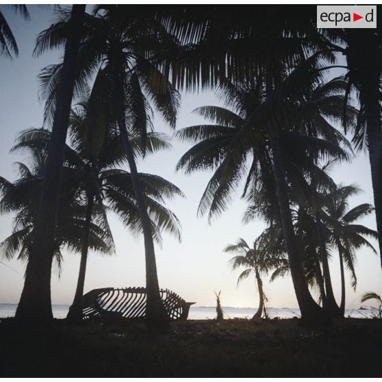 Coucher de soleil à Hao : cocotiers et épave d'embarcation sur la plage, vus à contrejour.