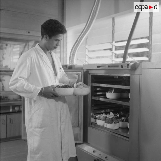 Portrait d'un laborantin participant au contrôle de la contamination d'éléments nutritifs au centre de contrôle biologique du centre technique (CT) de Mahina (Tahiti). Echantillons d'aliments prélevés mis en chambre froide.