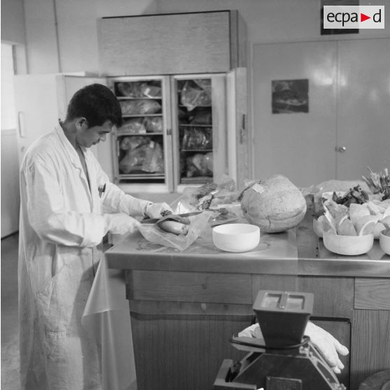 Portrait d'un laborantin participant au contrôle de la contamination d'éléments nutritifs au centre de contrôle biologique du centre technique (CT) de Mahina (Tahiti). Echantillons d'aliments prélevés coupés en morceaux.