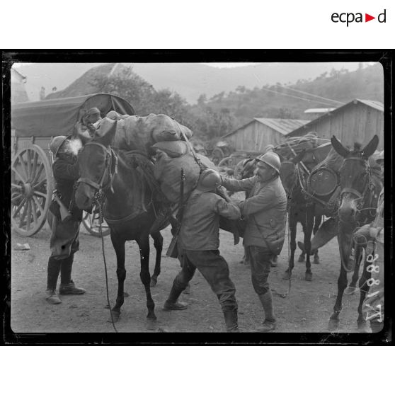 Thann. Départ en Alsace des muletiers pour l'Hartmannswillerkopf. [légende d'origine]