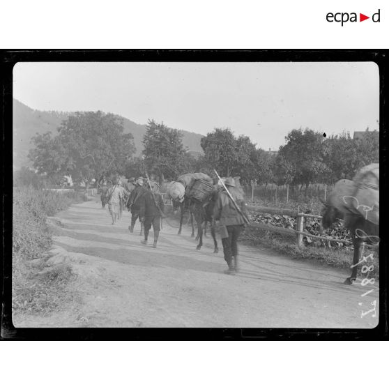 Thann. Départ en Alsace des muletiers pour l'Hartmannswillerkopf. [légende d'origine]