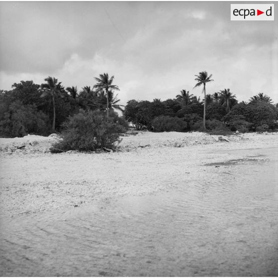 Rivage et route. Peut-être sur l'atoll d'Hao.