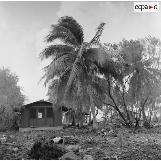 Infrastructures de la zone de vie et végétation. Peut-être sur l'atoll d'Hao.