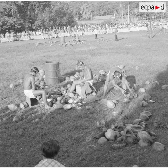 Fêtes du Juillet ou fête du Tiurai à Papeete en 1964. Concours de décorticage de noix de cocos.