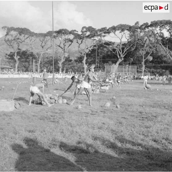 Fêtes du Juillet ou fête du Tiurai à Papeete en 1964. Jeunes hommes polynésiens au concours de décorticage de noix de cocos.