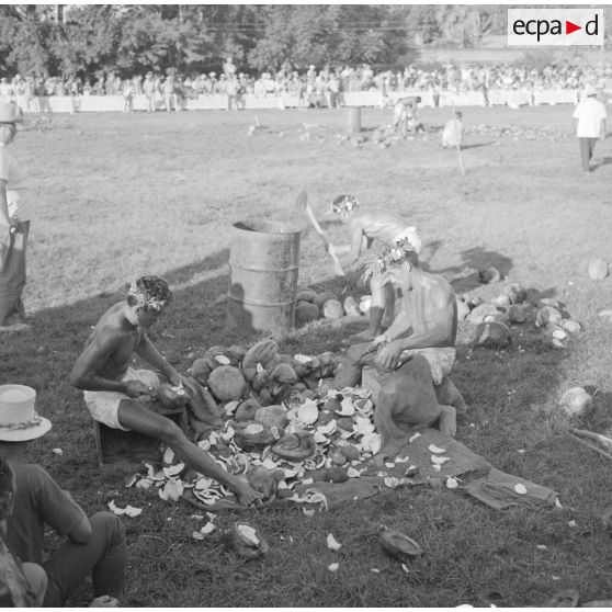 Fêtes du Juillet ou fête du Tiurai à Papeete en 1964. Concours de décorticage de noix de cocos.