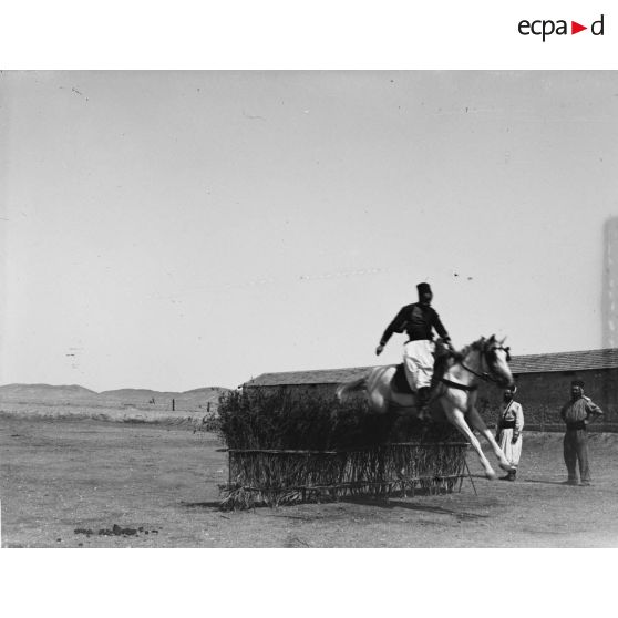 882. [Tunisie, 1902-1903. Saut d'obstacle à cheval.]