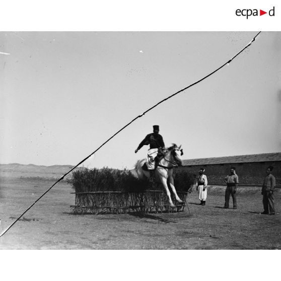 883. [Tunisie, 1902-1903. Saut d'obstacle à cheval.]