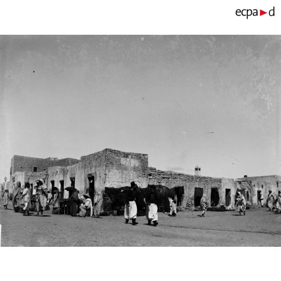 886. [Tunisie,1902-1903. Spahis au marché.]