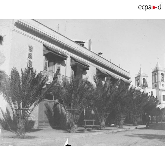 908. Boulevard de France, Sfax. 2/03. [légende d'origine]