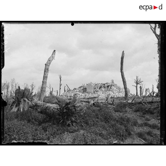 Mont-Renaud, les ruines du château (4 clichés). [légende d'origine]