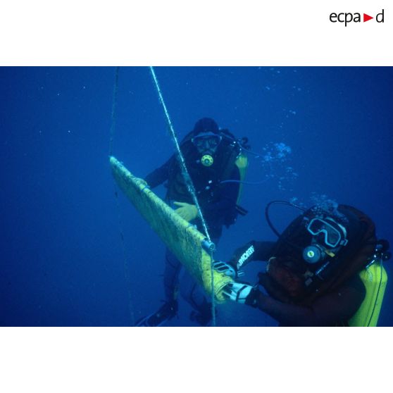 Des plongeurs prélèvent un panneau d'algues immergé pour la surveillance radiologique et bactériologique des eaux de Moruroa. [Description en cours]