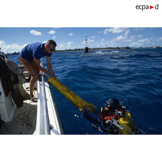 Des plongeurs prélèvent un panneau d'algues immergé dans le lagon pour la surveillance radiologique et bactériologique des eaux de Moruroa. [Description en cours]