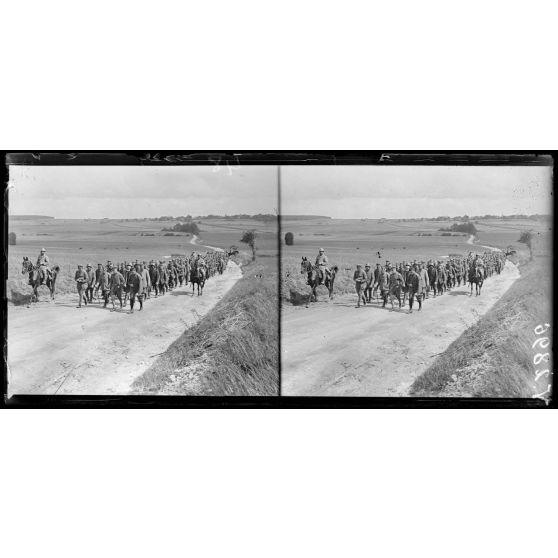 Route de Flers-sur-Noye à la Faloise, Somme, convoi de prisonniers allemands. [légende d'origine]