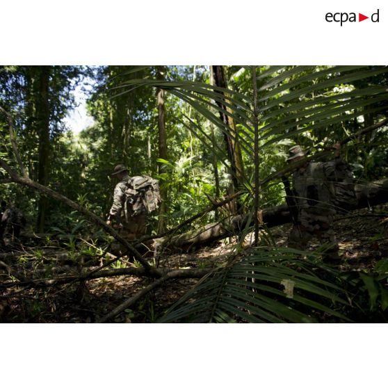 Des marsouins du 9e régiment d'infanterie de marine (9e RIMa) patrouillent dans la crique de Sparouine, en Guyane française.