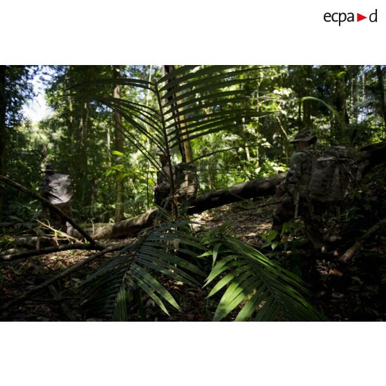 Des marsouins du 9e régiment d'infanterie de marine (9e RIMa) patrouillent dans la crique de Sparouine, en Guyane française.