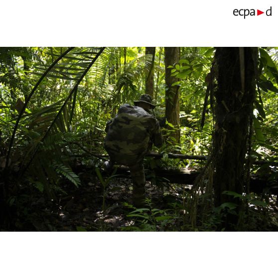 Un marsouin du 9e régiment d'infanterie de marine (9e RIMa) patrouille dans la crique de Sparouine, en Guyane française.