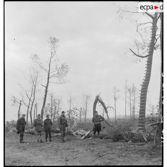 Officiers britanniques et français devant un arbre observatoire utilisé par l'armée allemande.