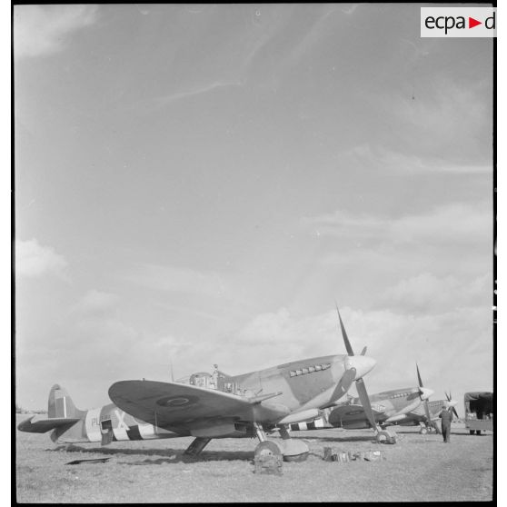 Des Spitfire MK IX du Wing 145 stationnent sur un terrain d'aviation belge.