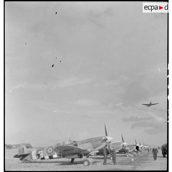 Vue sur des Spitfire des groupes de chasse du Wing 145.